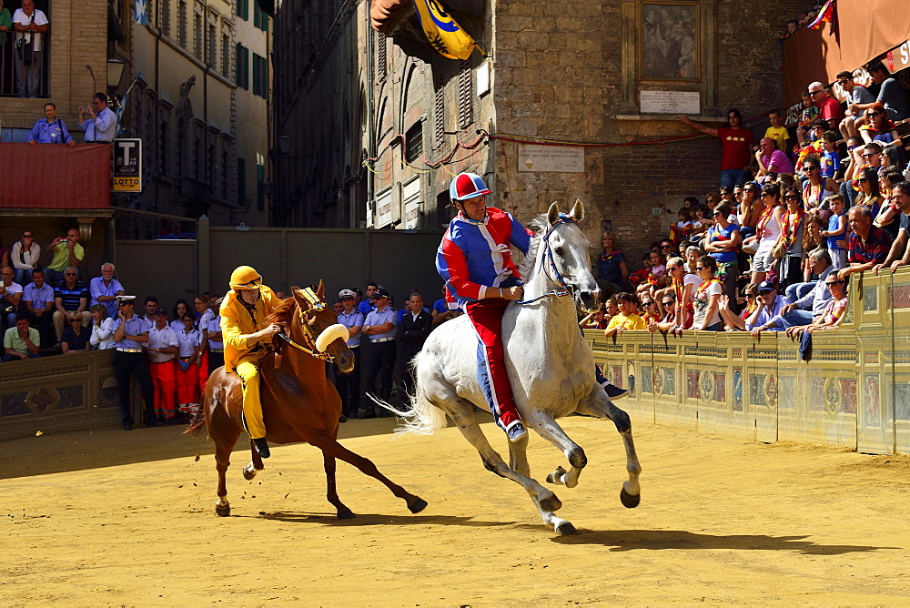 Training run of the historical horse race Palio di Siena, Piazza del Campo, Siena, Tuscany, Italy, Europe