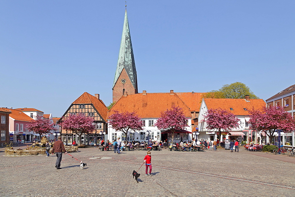 Market square and St. Michaelis Church, Eutin, Schleswig-Holstein, Germany, Europe