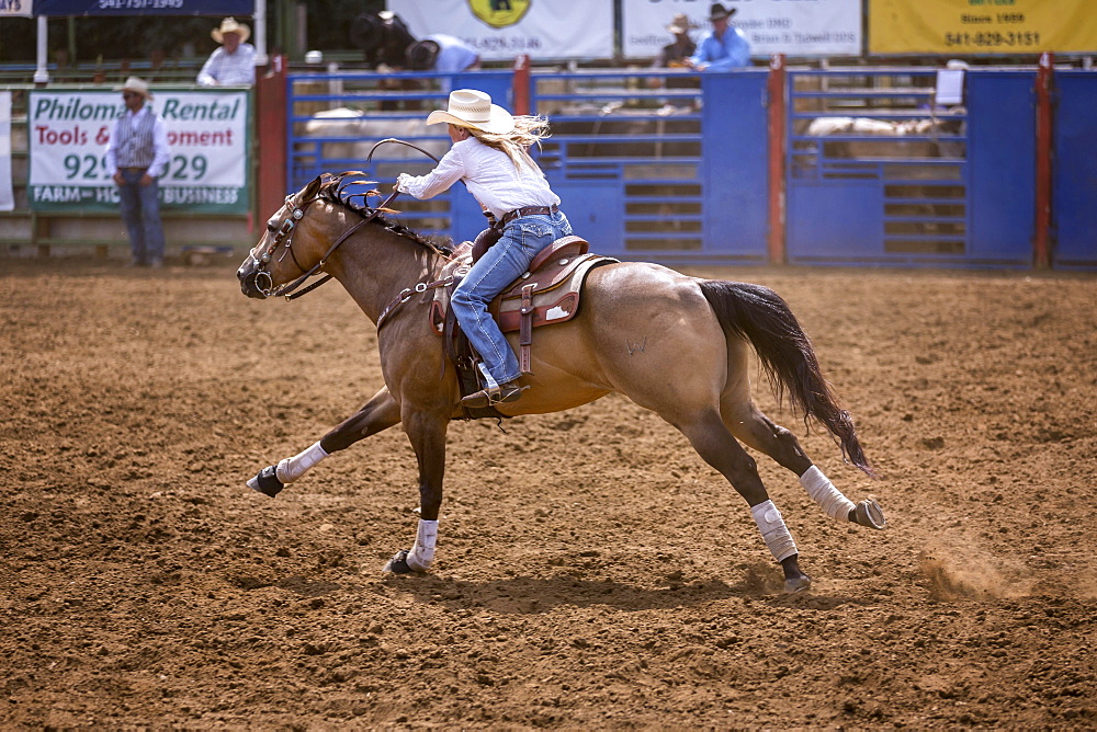 Cowgirl in barrel racing, Philomath Rodeo, Oregon, USA, North America