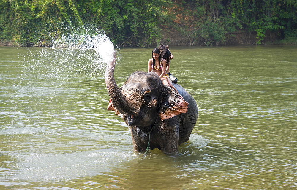 Elephant spraying tourists, Kanchanaburi Province, Central Thailand, Thailand, Asia