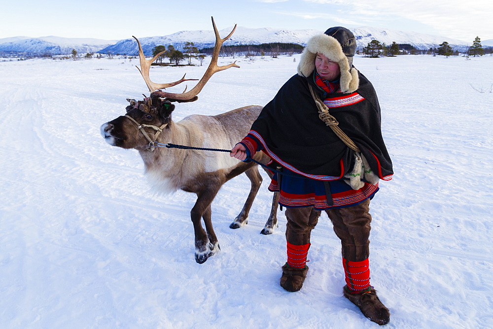 Man in traditional Sami dress, with a reindeer, Villmarkssenter, near Tromso, Norway, Europe