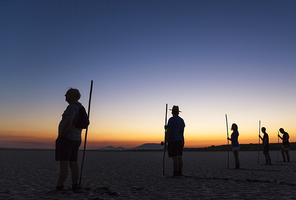 Volunteers at dawn at the Laguna de Fuente de Piedra, waiting for the start of the immature Greater Flamingo (Phoenicopterus roseus) capture event in order to ring them, Malaga province, Andalusia, Spain, Europe