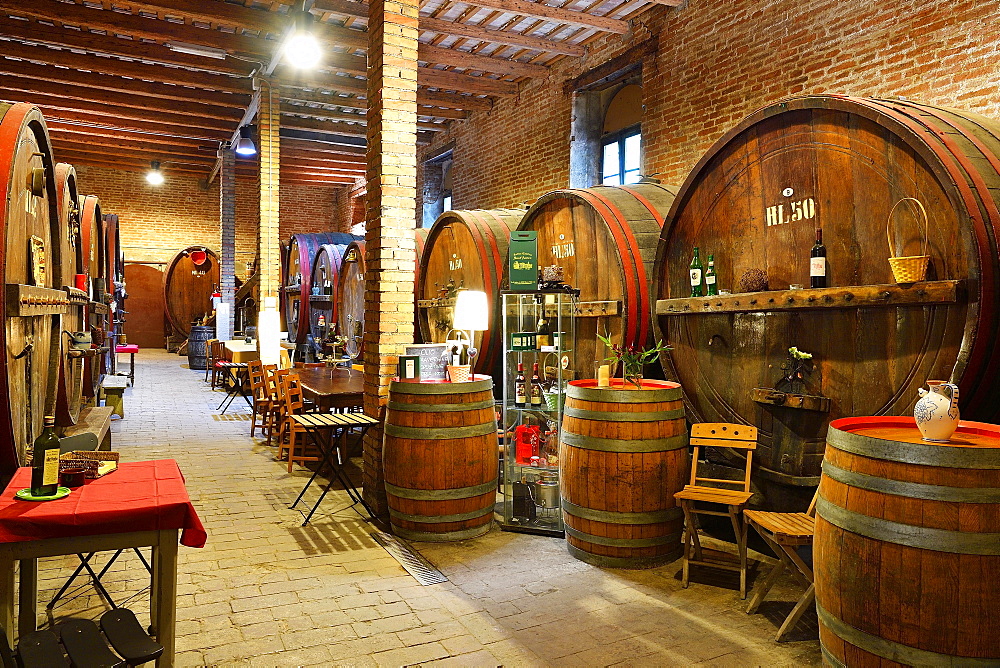 Barrels in cellar, Antica Cantina San't Amico winery,  Morro D'Alba, Marche, Italy, Europe