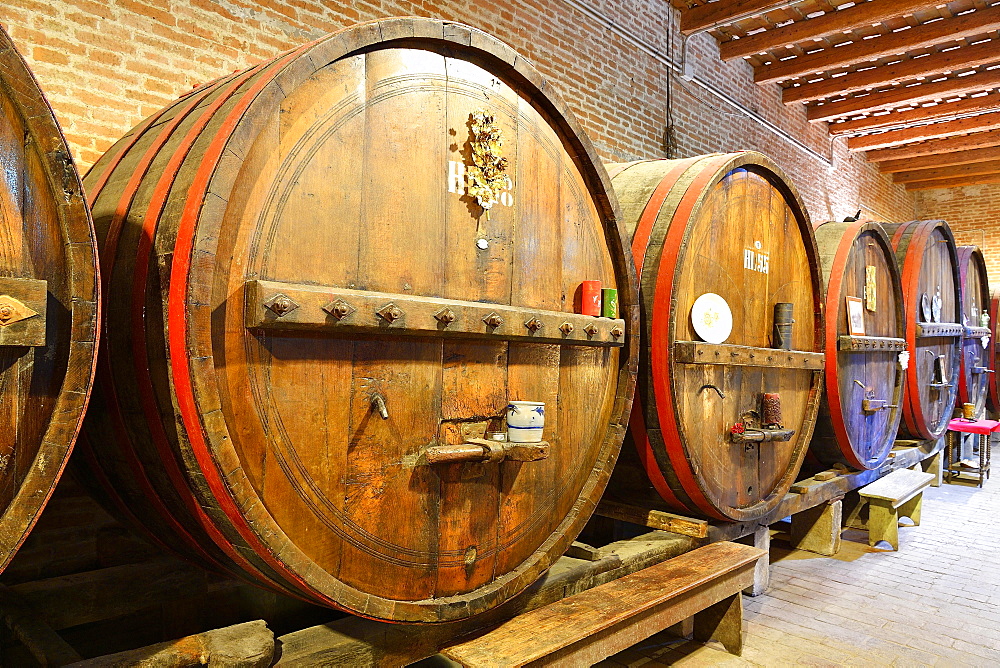 Barrels in cellar, Antica Cantina San't Amico winery,  Morro D'Alba, Marche, Italy, Europe