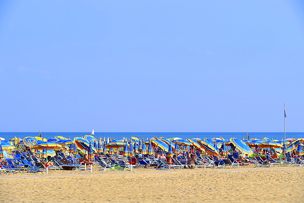 Sandy beach, sea, sun loungers and parasols, Bibione, Veneto, Italy, Europe