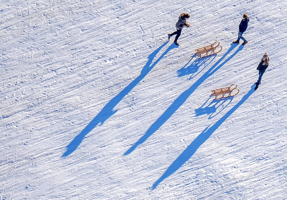 Sledders near Monastery Oelinghausen, snow, sled, Arnsberg, Neheim-Hüsten, Sauerland, North Rhine-Westphalia, Germany, Europe