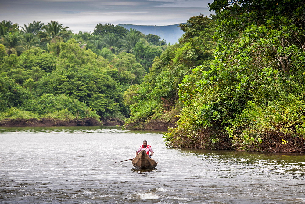 Man in dugout canoe, navigating river, Foumbam, West Region, Cameroon, Africa