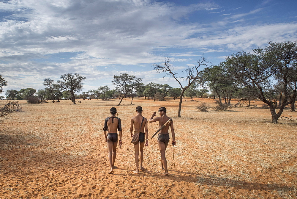 Kung Bushmen in the Kalahari, Zebra Lodge, Hardap Region, Namibia, Africa