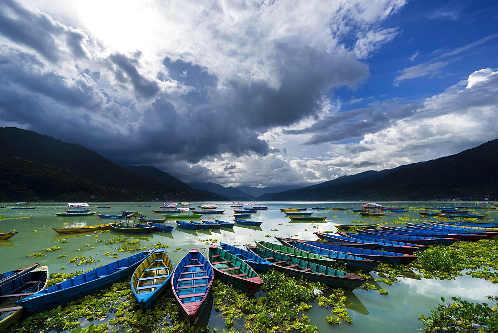 Rowing boats are tight together at Phewa Lake, dark thunderstorm clouds are rising at the sky, Pokhara, Kaski District, Nepal, Asia