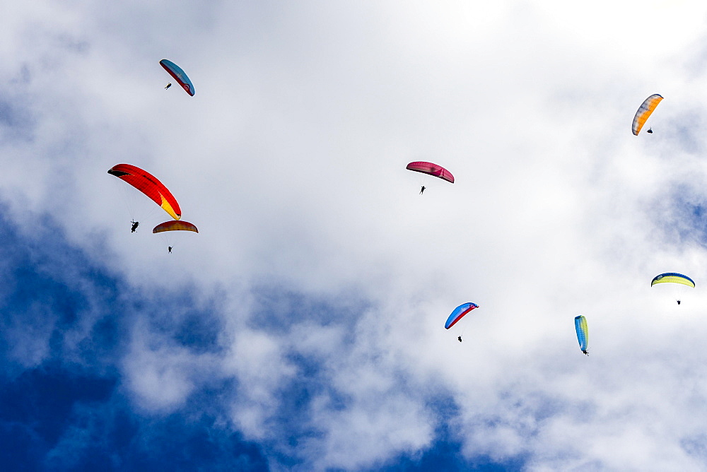 Many paragliders are flying in the air, over Pokhara and Phewa Lake, Sarangkot, Kaski District, Nepal, Asia