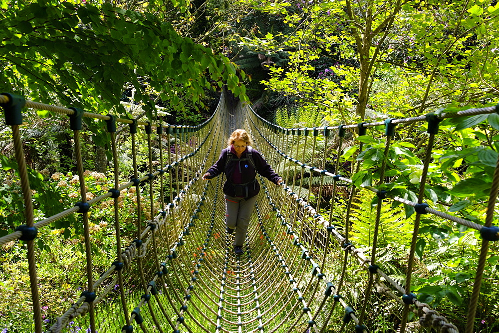 Woman on Burma suspension bridge in the Jungle, The Lost Gardens of Heligan, near St Austell, Cornwall, England, United Kingdom, Europe