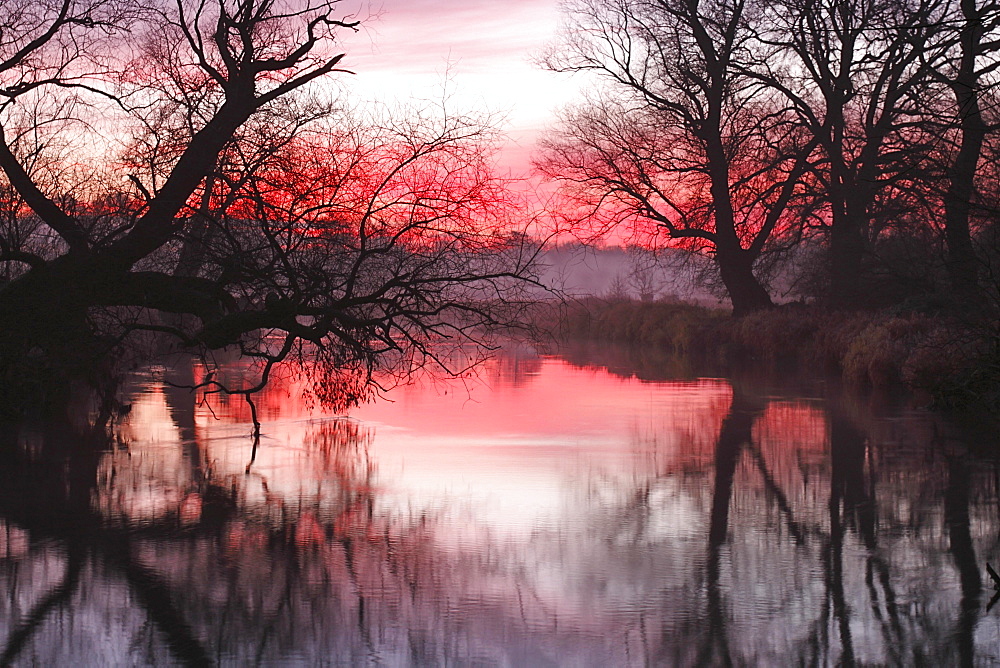 Early morning at sunrise, in the floodplain, Middle Elbe Biosphere Reserve, Saxony-Anhalt, Germany, Europe