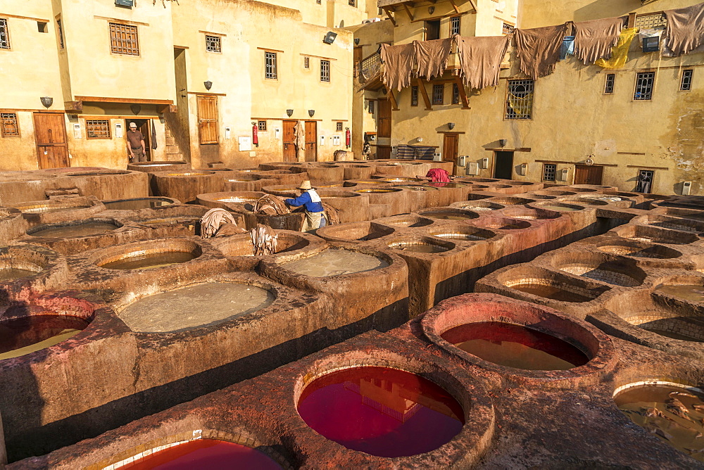 Leather dyeing tanks, dyeing plant, Tannerie Chouara tannery, Fes el Bali tannery and dyeing district, Fez, Morocco, Africa