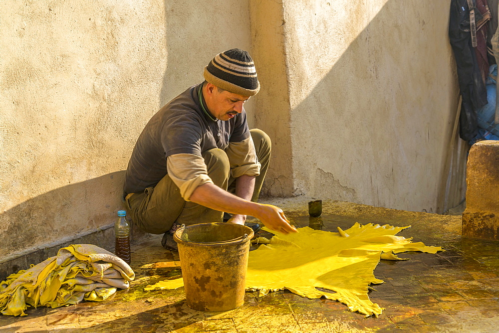 Leather tanners, leather is dyed yellow, dyeing, Tannerie Chouara, tannery- and dye quarter Fes el Bali, Fez, Morocco, Africa