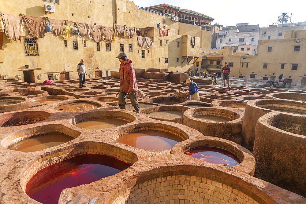 Leather dyeing tanks, dyeing plant, Tannerie Chouara tannery, Fes el Bali tannery and dyeing district, Fez, Morocco, Africa