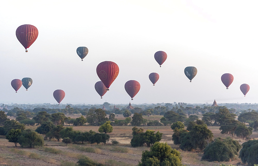 Hot-air Balloons in flight over temples, seen from Pyathada Paya, Bagan, Myanmar, Asia