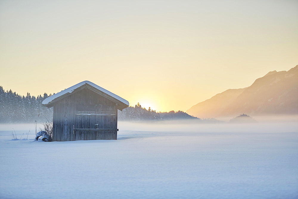 Small cabin, winter landscape, hay barn in fog at dusk, Kramsach, Tyrol, Austria, Europe