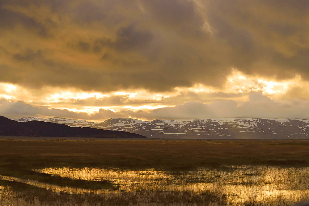 Fjell near Norwegian coast, Varanger Peninsula, Norway, Europe