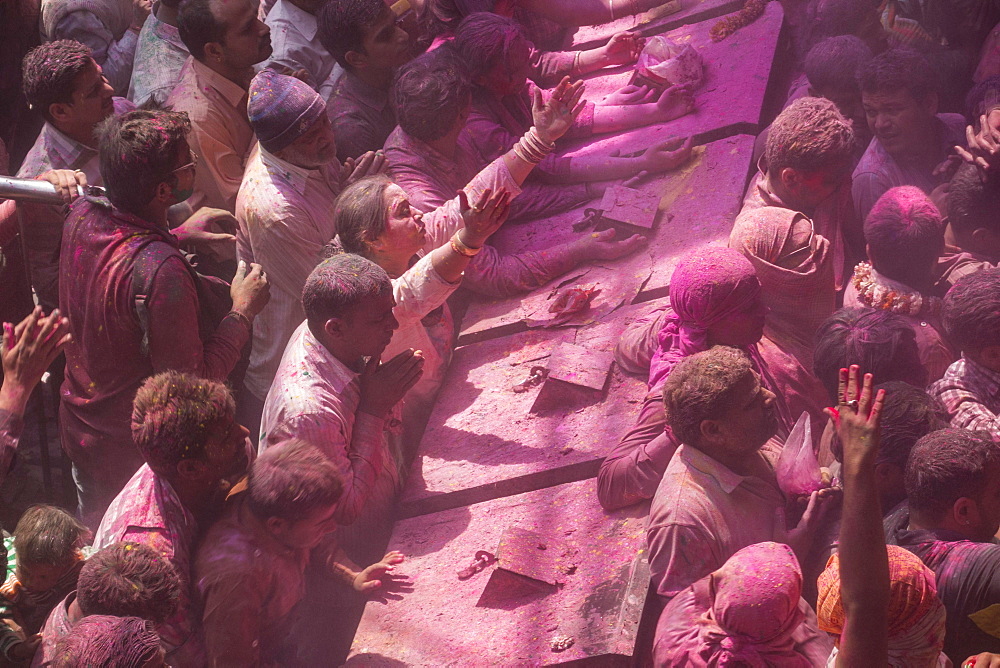 Devotees covered in coloured powder praying, Holi festival, Banke Bihari Temple, Vrindavan, Uttar Pradesh, India, Asia