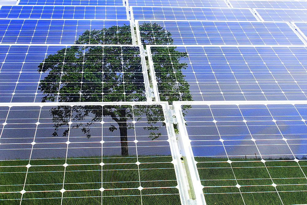 Solar panels with the reflection of a tree, illustration, symbolic image