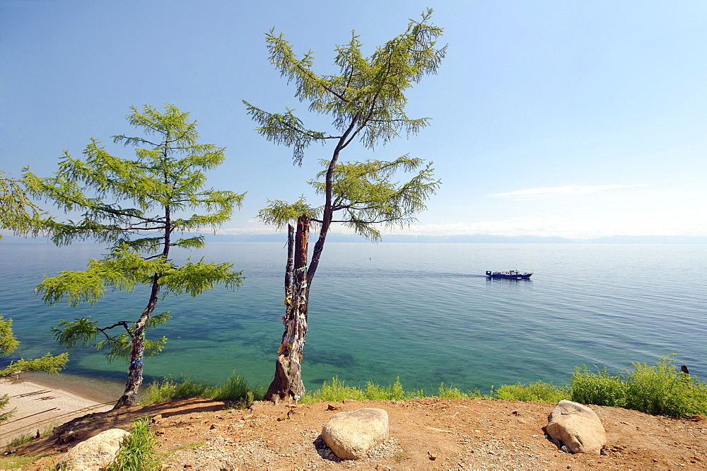 Tree of desires, settlement of Listvyanka, Baikal, Irkutsk region, Siberia, Russian Federation, Eurasia