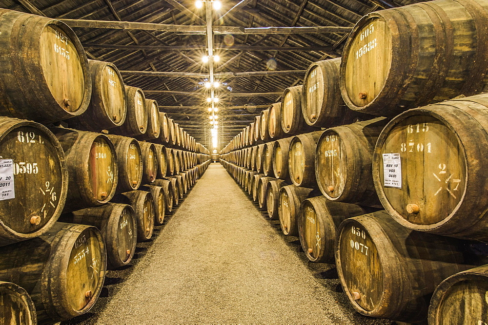 Taylor's Port house, Vila Nova de Gaia, Porto, Portugal, Europe