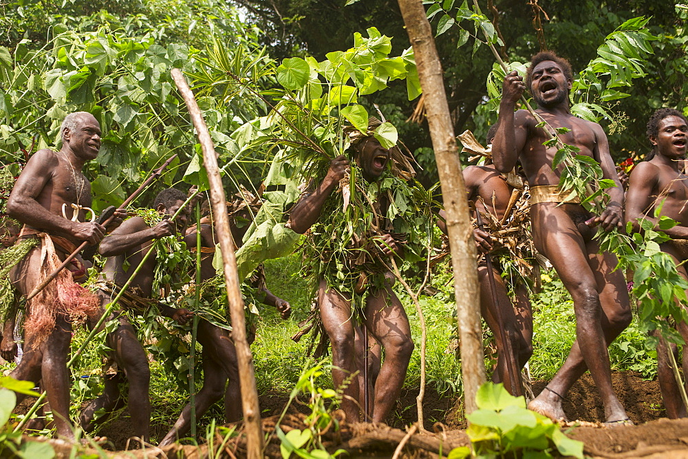 Men of the Sa people dancing at the Land diving ceremony, Pentecost Island, Vanuatu, Oceania