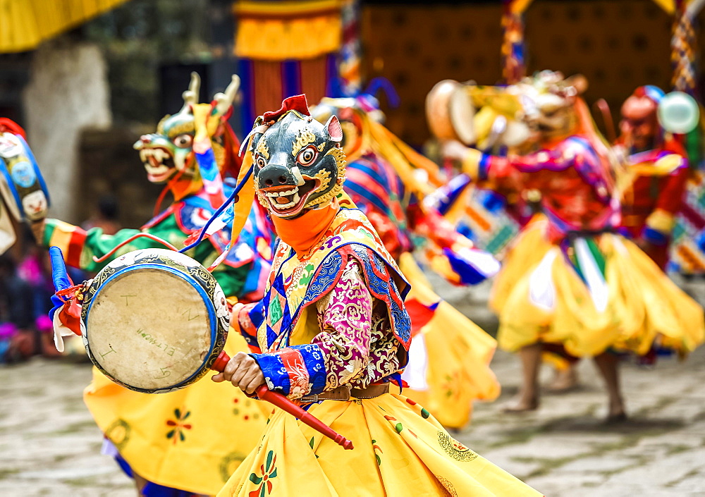 Dancer at Mask Dance, Religious Tsechu Monastery Festival, Gasa District District District Tshechu Festival, Gasa, Himalaya Region, Kingdom of Bhutan