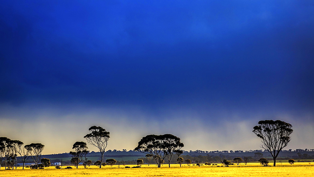 Dark thunderstorm clouds approaching, Western Australia, Australia, Oceania