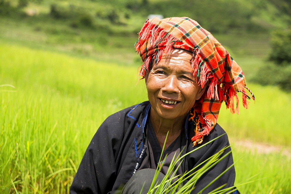 Smiling woman working in the fields, from the Pao hill tribe or mountain people, Shan State, Myanmar, Asia