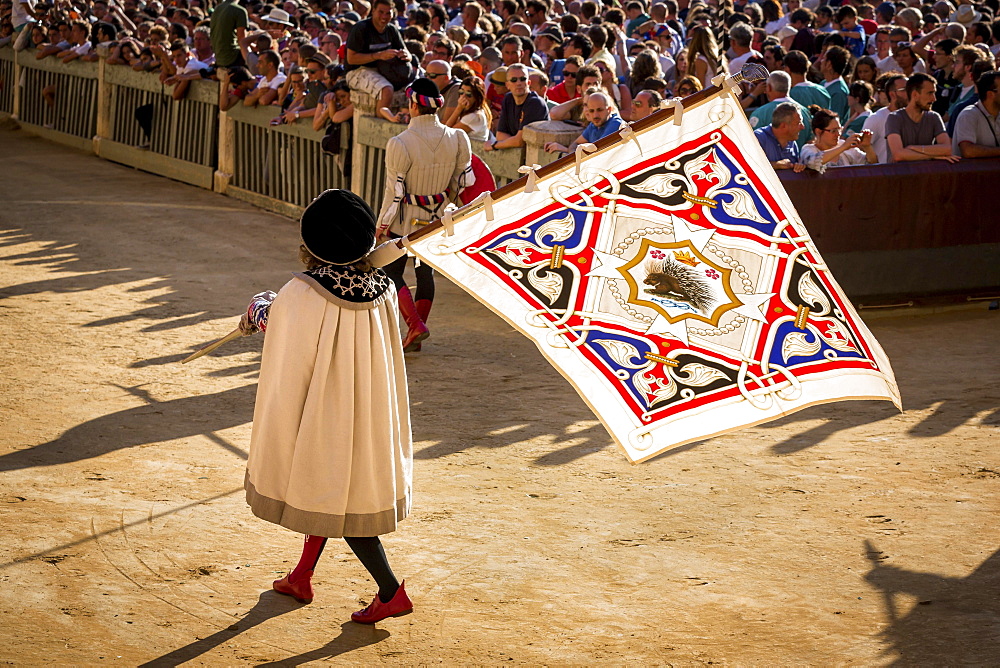 Man carrying a flag from the Crested Porcupine or Istrice contrade, historical parade before the Palio di Siena horse race, Siena, Tuscany, Italy, Europe