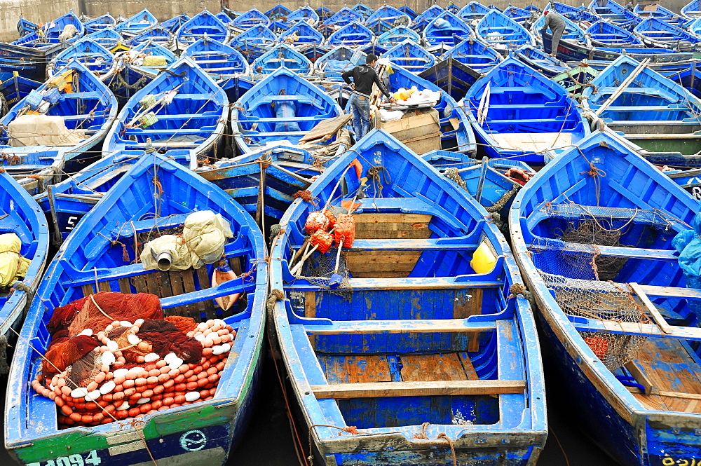 Typical blue fishing boats in the harbor of Essaouira, Morocco, Africa