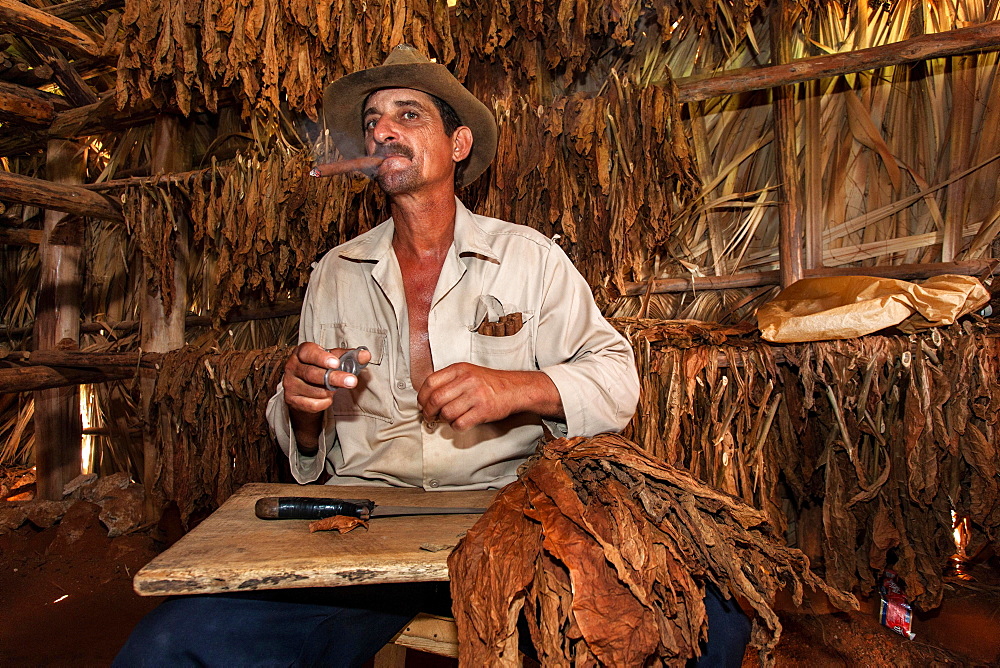 Tobacco farmer smoking a cigar in a tobacco shed, Vinales Valley, Cuba, Central America