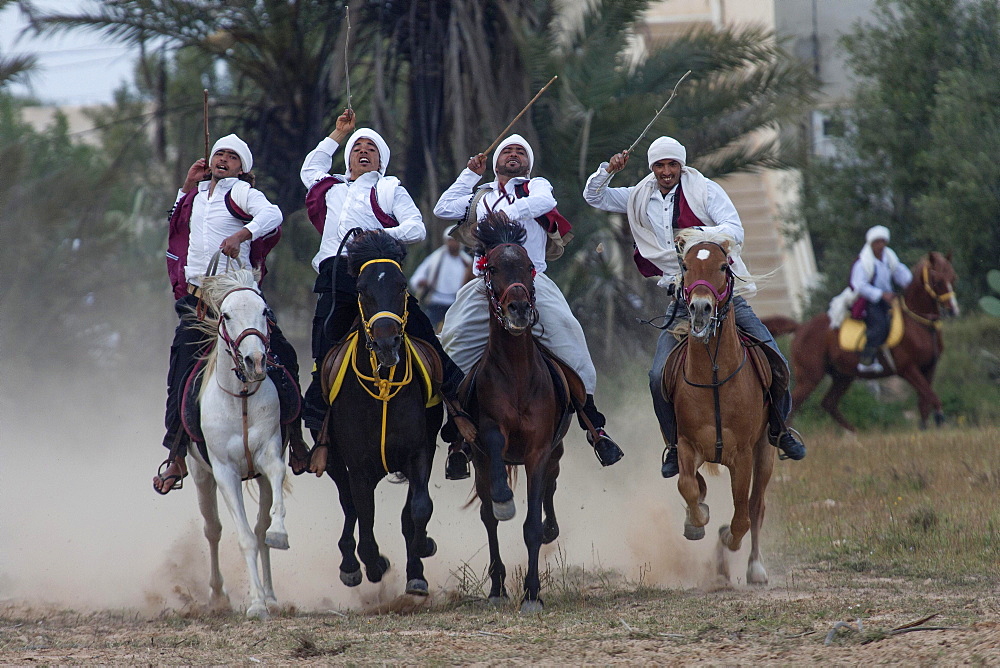 Equestrian games, Fantasia, Midoun, Djerba, Tunisia, Africa