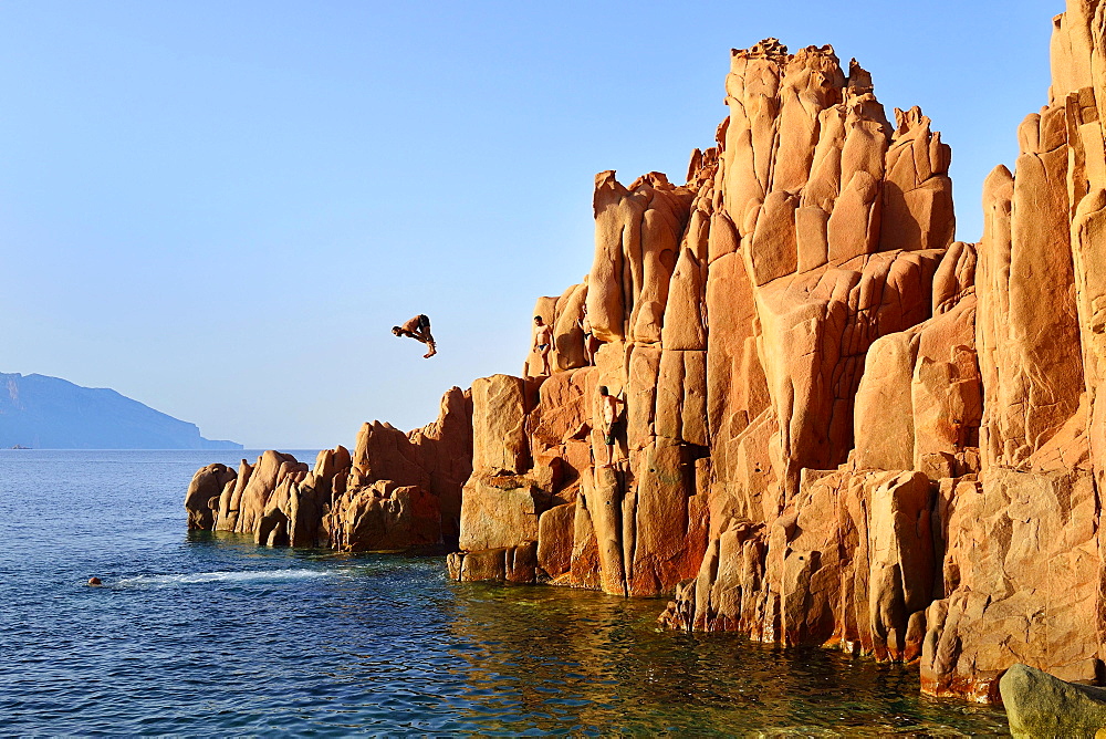 Klipspringer of the red rocks of Arbatax, porphyry rocks, Tortoli, Province of Ogliastra, Sardinia, Italy, Europe