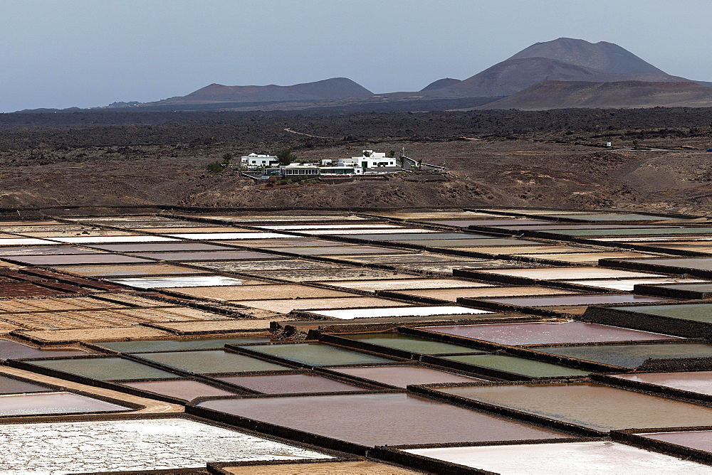 Sea salt production, salt pans, Salinas de Janubio, Lanzarote, Canary Islands, Spain, Europe