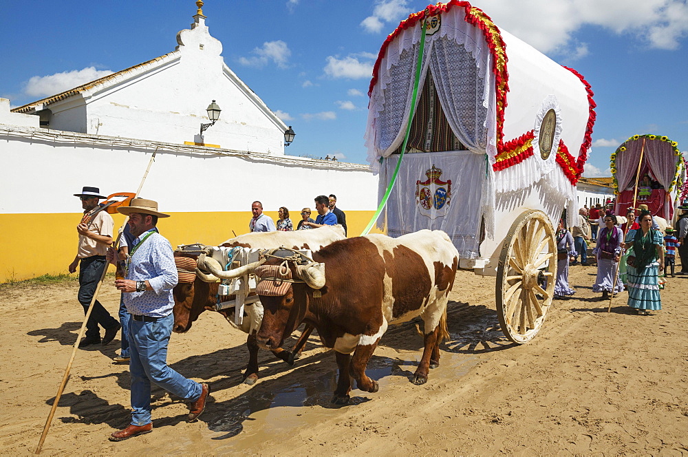 Decorated oxcarts, people in traditional clothes, Pentecost pilgrimage of El Rocio, Huelva province, Andalusia, Spain, Europe