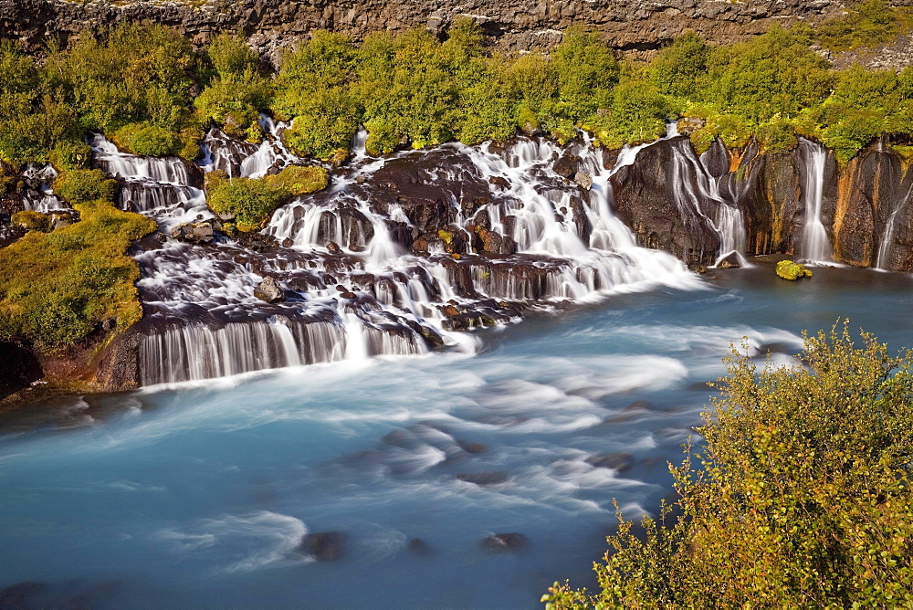 Waterfall Hraunfossar with the blue river Hvita, West Iceland, Iceland, Europe