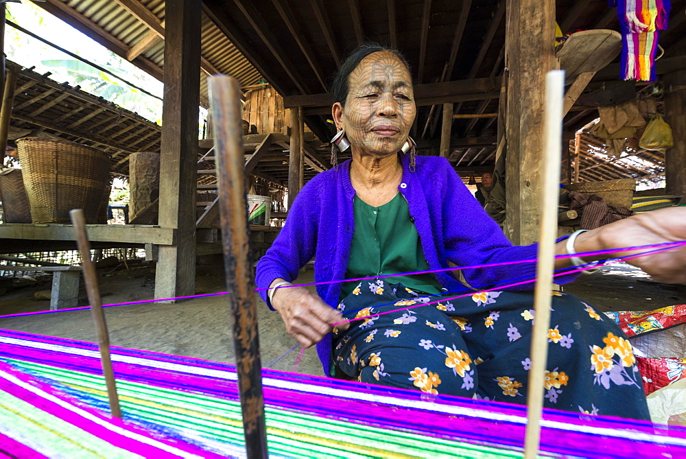 Woman with traditional facial tattoos and ear jewellery from the Chin people, ethnic group, the last of their kind, weaving on a loom, Rakhine State, Myanmar, Asia