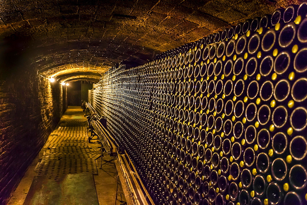 Wine cellar, Cavas de Bohigas, Catalonia, Spain, Europe