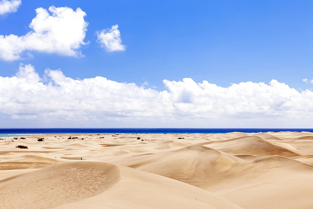 Dunes of Maspalomas, Gran Canaria, Canary Islands, Spain, Europe