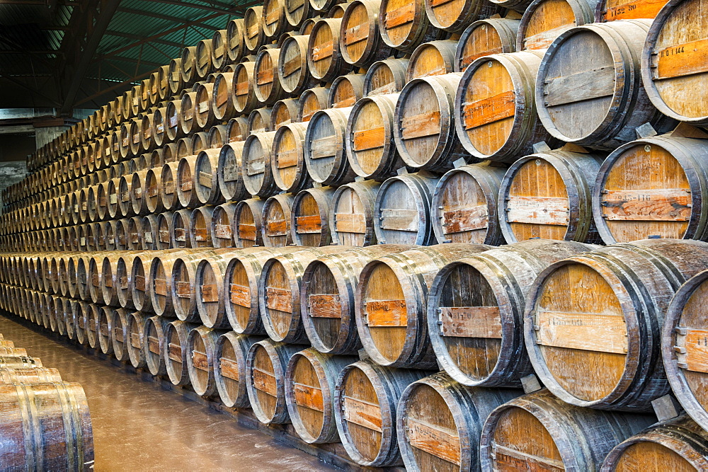 Wine barrels, Bacalhoa Winery, Azeitao, Setubal Peninsula, Portugal, Europe