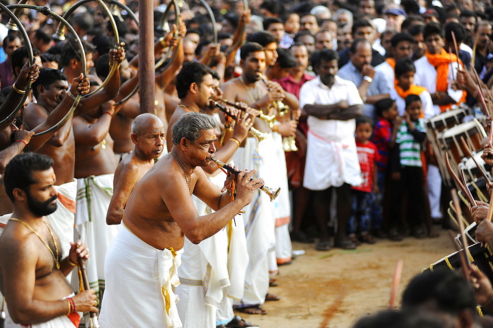 Musicians with trumpets at Hindu temple festival, Thrissur, Kerala, South India, India, Asia