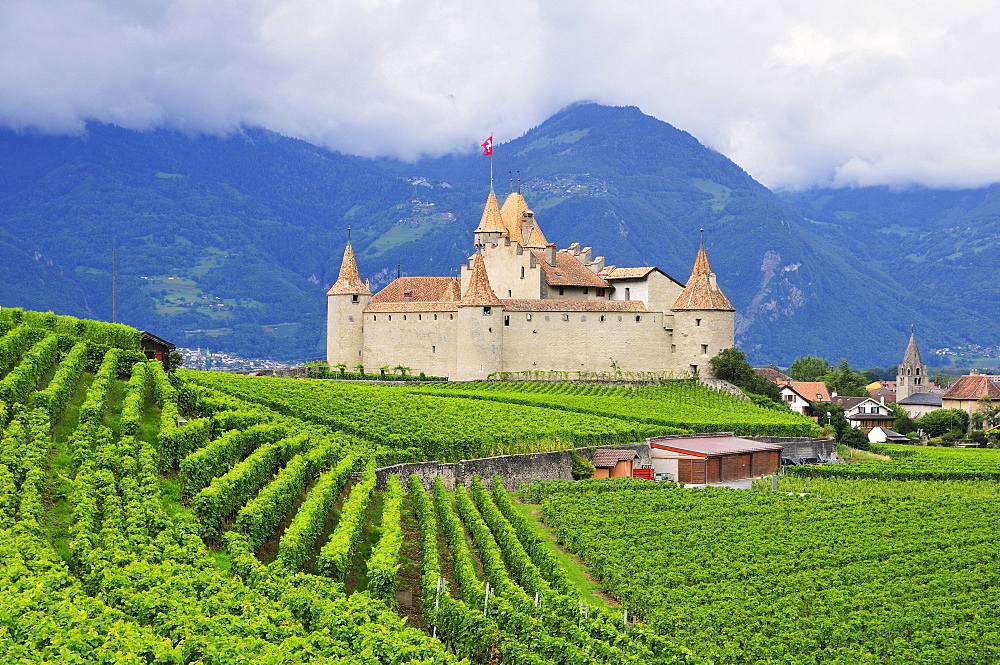 Chateau d'Aigle or Aigle Castle, surrounded by vineyards, Aigle, Canton of Vaud, Switzerland, Europe