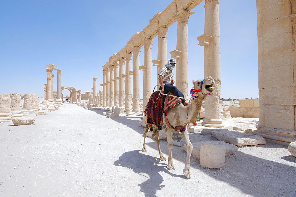 The ruins of the ancient city of Palmyra, Tadmur, Palmyra District, Homs Governorate, Syria, Asia