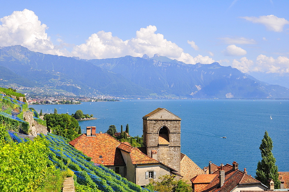 View over the wine-producing village and Lake Geneva towards Lausanne, Saint-Saphorin, Lavaux, Canton of Vaud, Switzerland, Europe