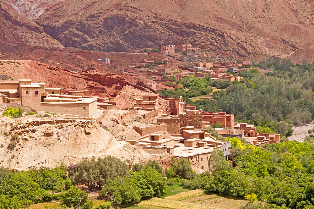 Tinerhir, oasis city, Souss-Massa-Daraa Region, Morocco, Africa