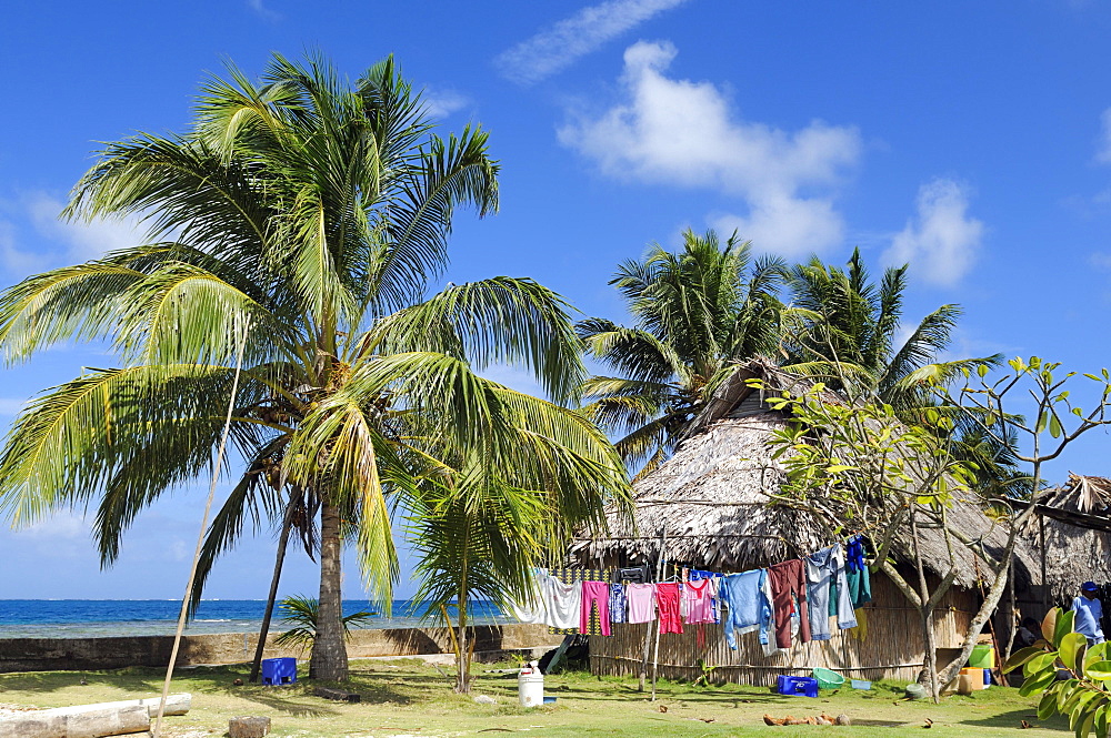 Hut under palm trees, village of the Kuna people, Nalunega, San Blas Islands, Panama, Caribbean, Central America