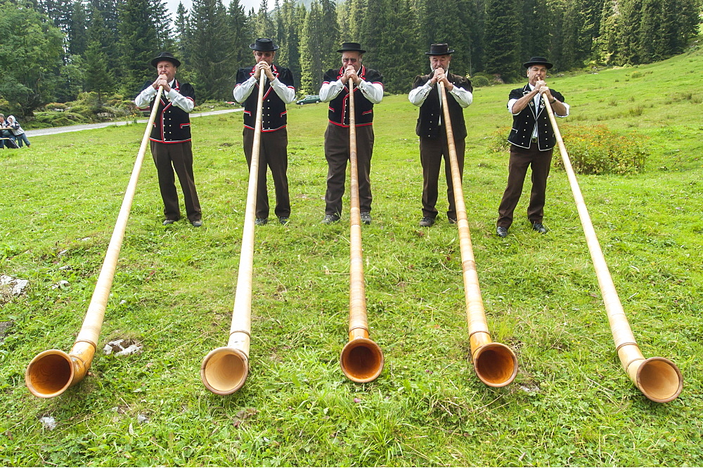 Group of alphorn players performing on a meadow in Justistal valley, Beatenberg, Bernese Oberland, Switzerland, Europe