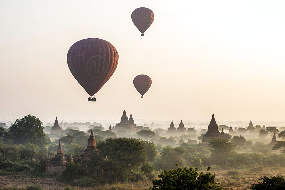 Hot air balloons over the landscape in the early morning fog, temples, stupas, pagodas, temple complex, Plateau of Bagan, Mandalay Division, Burma or Myanmar